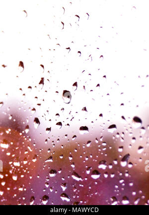 Regentropfen am Fenster Glas. Selektiver Fokus oder closeup Schuß von Regen fällt auf ein Fenster. Stockfoto