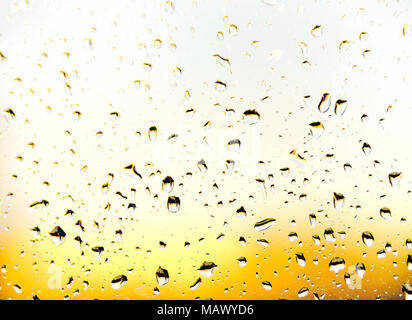 Regentropfen am Fenster Glas. Selektiver Fokus oder closeup Schuß von Regen fällt auf ein Fenster. Stockfoto