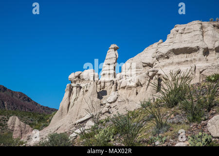 Hoodoos im Big Bend Ranch State Park Stockfoto