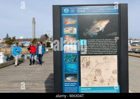MacMillan Pier, Winter Nebensaison, Provincetown, Cape Cod, Massachusetts Stockfoto