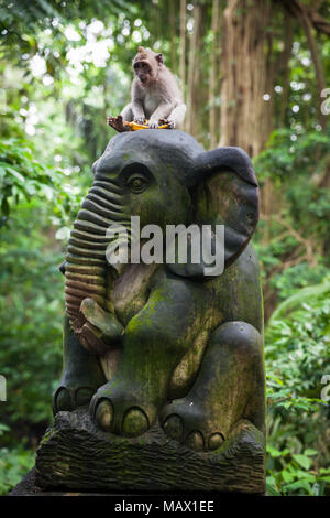 Balinesische Long-tailed Affe sitzend auf der Statue mit Banane in Affenwaldstation, Ubud, Bali, Indonesien Stockfoto