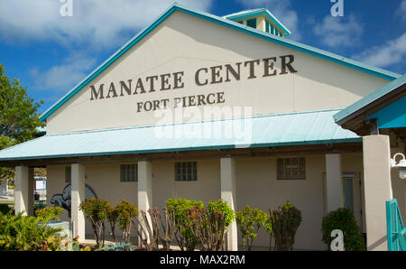 Manatee Beobachtung und Education Center, Fort Pierce, Florida Stockfoto