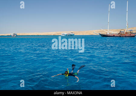 Ein Taucher, der schwimmt im Meer in der Nähe von Yachten Stockfoto