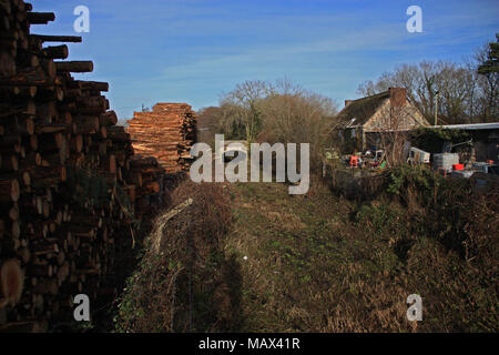 Der Ton Kellern. Teignbridge Sperren. Teigngrace. Newton Abbot. Devon. UK. 24/1/15 Stockfoto