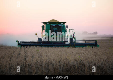 63801-06603 John Deere Mähdrescher Ernten von Sojabohnen bei Sonnenuntergang, Marion Co., IL Stockfoto