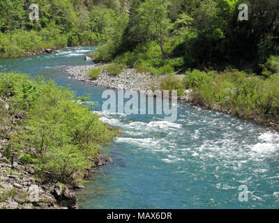 Smith River bei Jedediah Smith Redwoods SP in Kalifornien Stockfoto