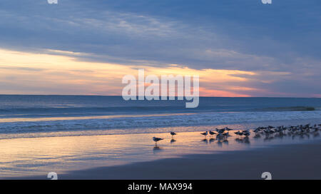 Blauer Himmel Sonnenuntergang am Strand - ruhigen Wellen und Möwen am Meer sammeln Stockfoto