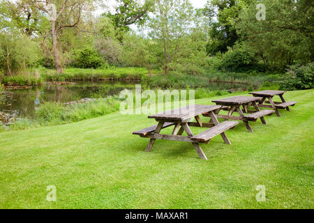 Reihe von verwittertem Holz- Picknick Tische mit Bänken auf einer Wiese in der Nähe von einem Pool im Sommer englischen Garten oder Park. Südengland, Großbritannien Stockfoto