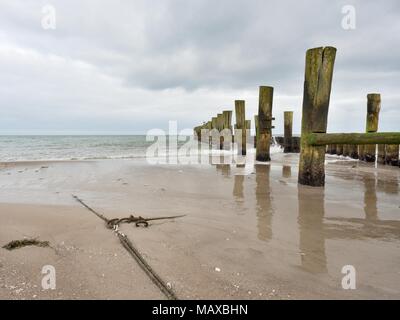 Moosige Wellenbrecher Pole im glatten Wasser der See innerhalb windstill. Sandstrand mit Algen, Steine und Muscheln. Stockfoto