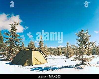 Camping im Winter Wandern in den Bergen. Grüne touristischen Zelt unter Fichten. Stockfoto