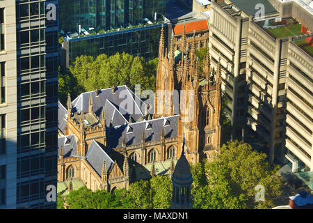 St Andrews Kathedrale, Sydney, New South Wales, Australien Stockfoto