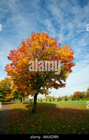 Glasgow Green, Nekropole & Die Barras Stockfoto