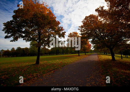 Glasgow Green, Nekropole & Die Barras Stockfoto