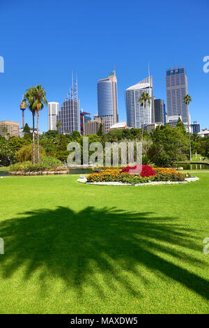 Sydney City Skyline und CBD und die Königlichen Botanischen Gärten mit Palm Tree Silhouette, Sydney, New South Wales, Australien Stockfoto