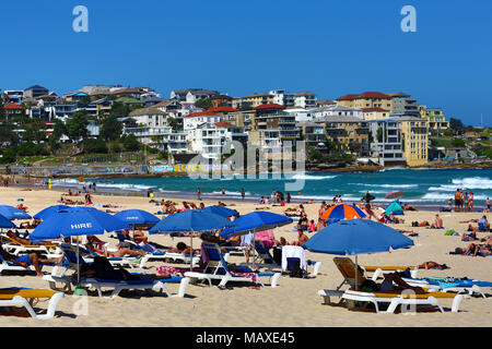 Sonnenschirme am Bondi Beach, Sydney, New South Wales, Australien Stockfoto