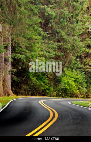 WA 15013-00 ... WASHHINGTON - Die obere Hoh River Road in Olympic National Park. Stockfoto