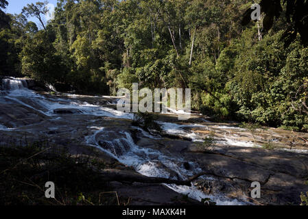 Stream mit kleinen Wasserfällen im Wald, Doi Inthanon, Thailand Stockfoto