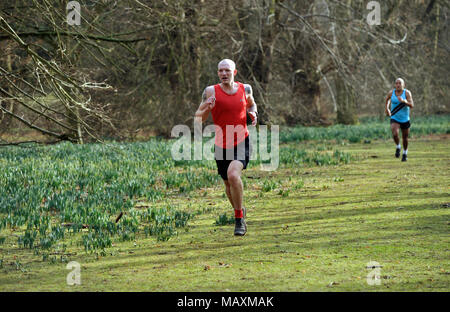 Zwei Männer querfeldein laufen Stockfoto