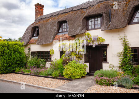 Eine typische traditionelle englische Landhaus Reetdachhaus mit Pflanzen und blühenden Blumen in ländlichen südlichen England Großbritannien eingerichtet Stockfoto