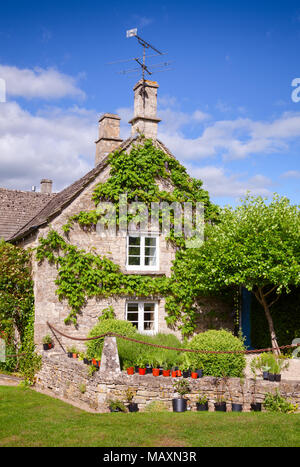 Ein typisches englisches Landhaus mit Rebe und Topfpflanzen im südlichen England Großbritannien eingerichtet Stockfoto