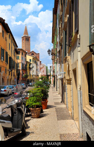 Verona, Venetien/Italien - 2011/12/06: Verona historisches Stadtzentrum - Piazza Sant Anastasia Street mit St. Anastasia Kirche im Hintergrund Stockfoto