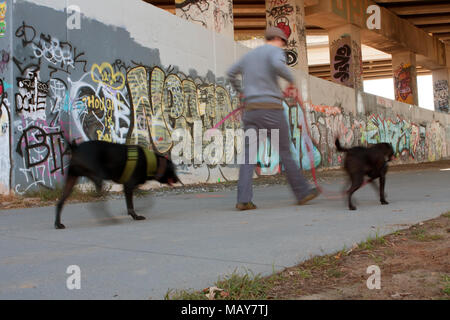 Motion Blur von Mann, zwei Hunde ein Graffiti überdachte Überführung, die Teil der 22 Meile Atlanta Bordkanten, der am 2. November 2013 in Atlanta, GA. Stockfoto