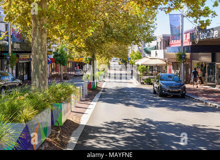 Pflanzmaschine Boxen mit Platanen Schattierung des Einkaufs- und Café Strip der Rokeby Road, Perth, Perth, Western Australia Stockfoto