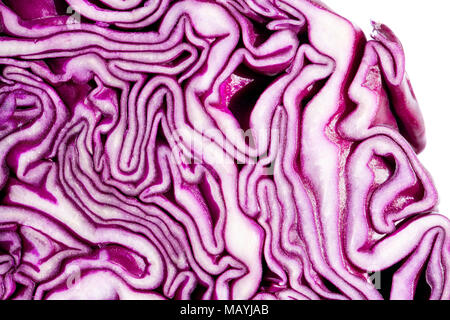 Rotkohl halbieren. Lila brassica geschnitten in zwei mit Muster innen. Stockfoto
