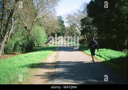 Ein Mann geht die Iron Horse Trail, einem umgebauten Rail Trail in Danville, Kalifornien an einem sonnigen Tag, den 18. Februar 2018. () Stockfoto