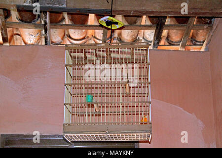 Birdcage Home Interior, Paraiba, Brasilien Stockfoto