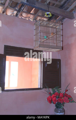 Birdcage Home Interior, Paraiba, Brasilien Stockfoto