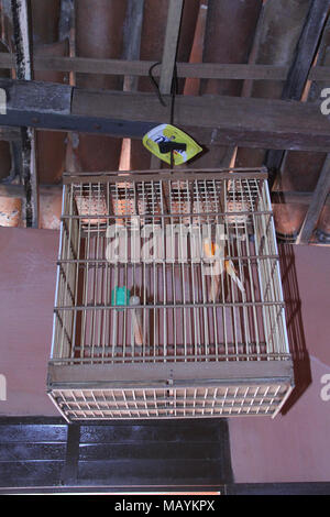 Birdcage Home Interior, Paraiba, Brasilien Stockfoto