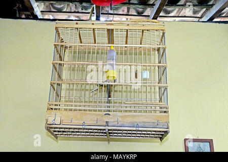 Birdcage Home Interior, Paraiba, Brasilien Stockfoto