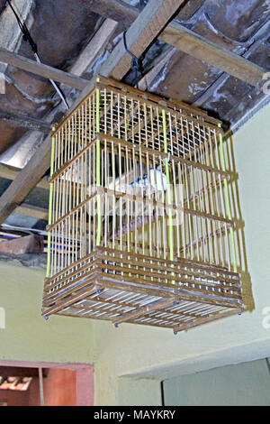 Birdcage Home Interior, Paraiba, Brasilien Stockfoto