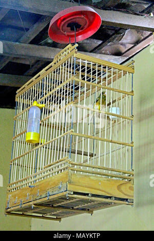 Birdcage Home Interior, Paraiba, Brasilien Stockfoto