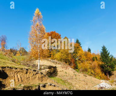 Herbst Karpaten Landschaft mit bunten Bäumen am Hang (rakhiv Bezirk, Transkarpatien, Ukraine). Stockfoto