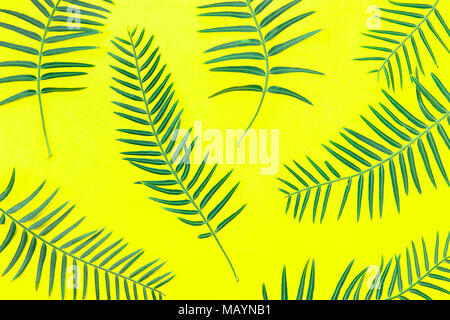 Frischen grünen Farnblätter arrangiert in Muster auf soliden gelben Hintergrund. Botanische Blumen Pflanze Kulisse. Plakat Banner Wallpaper Vorlage. Natürliche Cos