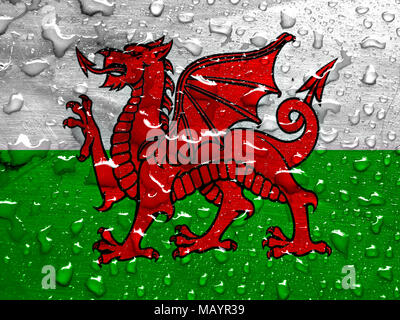 Flagge von Wales mit Regentropfen Stockfoto