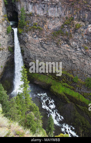 Spahats Falls ist ein beliebtes Reiseziel im Wells Gray Provincial Park Clearwater British Columbia Kanada Stockfoto