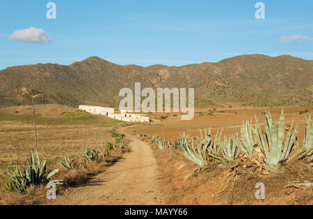 Trockene Landschaft mit Century Pflanzen (Agave americana) und das verlassene Landhaus Cortijo de los Genoveses, Naturschutzgebiet Cabo Stockfoto