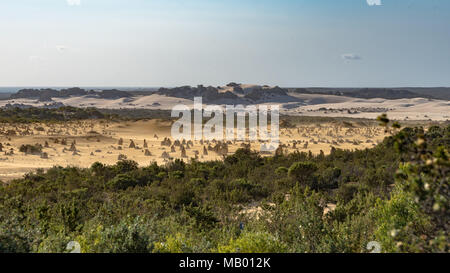 Sanddünen oberhalb der Pinnacles, Australien Stockfoto