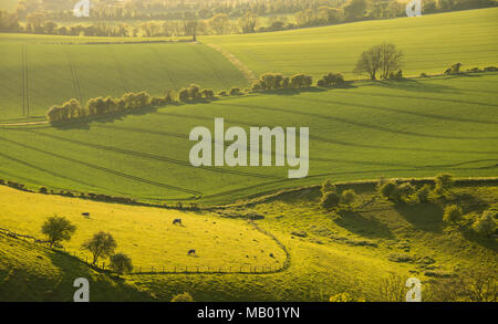 Blick von oben der Butser Hill in Hampshire. Stockfoto