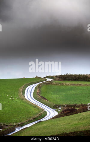 Licht reflektiert die Oberfläche einer nassen Straße in der Landschaft in Cornwall. Stockfoto