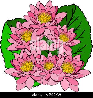 Blumenstrauß aus rosa Seerosen und grüne Blätter auf weißem Hintergrund Stockfoto