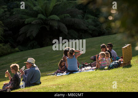 Familien genießen ein abendliches Picknick auf dem Rasen im Trebah Garten in Cornwall. Stockfoto