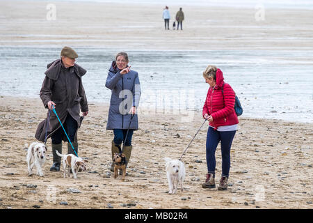 Hund Wanderer und ihre Hunde mit einem auf den Fistral Beach in Newquay schlendern. Stockfoto