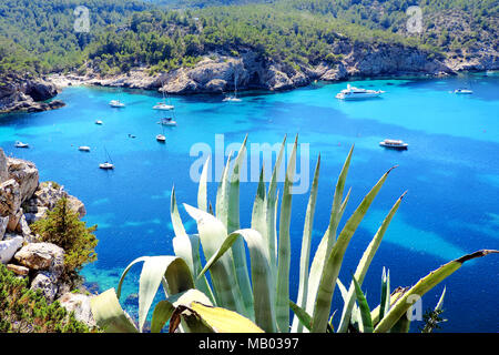 Bucht von San Miguel, Ibiza. Verankerten Boote und türkisblauem Wasser. Stockfoto