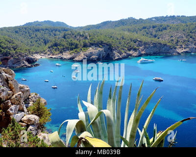 Bucht von San Miguel, Ibiza. Verankerten Boote und türkisblauem Wasser. Stockfoto