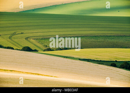 Sommer am Nachmittag in South Downs National Park. Stockfoto