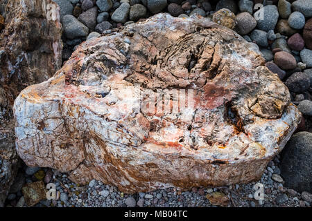 Teil eines versteinerten Baum am Strand. Nissiopi Petrified Forest Park, UNESCO-Geopark, Lesbos Stockfoto